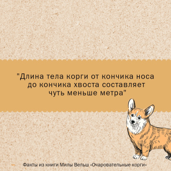 Мила Вельш: Очаровательные корги. Походка, которая вдохновляет!