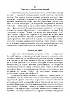 Владимир Захарычев: Грибы и фунгициды. Учебное пособие для вузов