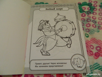 Сергей Гордиенко: Веселый цирк