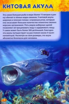 Первая энциклопедия дошкольника. Подводный мир