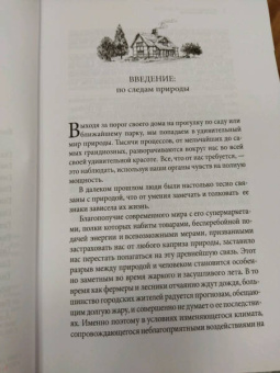 Петер Вольлебен: Тайные знаки природы. Как стать погодным детективом и читать приметы