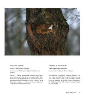 Россия - самая красивая страна. Фотоконкурс 2018