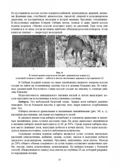 Анатолий Суворов: Основы полевых наблюдений. Следы жизнедеятельности зверей и птиц. Учебник для СПО