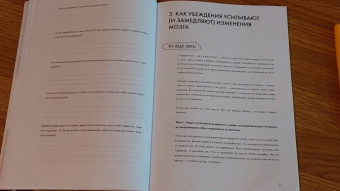 Шлейдер, Малларки, Добиас: Развиваем гибкое мышление