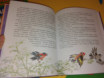 Виталий Бианки: Оранжевое Горлышко