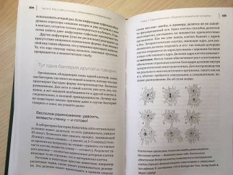Мадлен Циге: В лесу никто не молчит. Как животные и растения общаются друг с другом