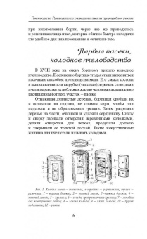 Пчеловодство для всех. Как перестать покупать мед