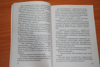 Александр Тамоников: Янтарная камера