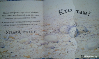 Кто спрятался?