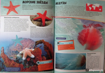 Большая книга животного мира