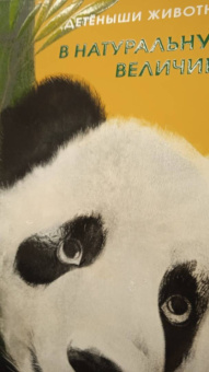 Вальтер Фогато: Детёныши животных в натуральную величину