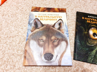 Хольгер Хааг: Лесные животные в натуральную величину