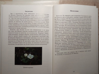 Шелепеева, Аверина: Мезенская роспись. Азбука
