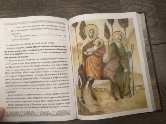 Александр Худошин: Евангелие для детей. Священная История в простых рассказах для чтения в школе и дома