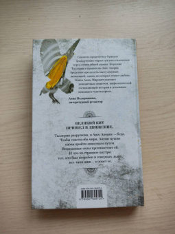 Анна Мирович: Солнечное перо