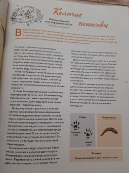 Стегман, Янсен: Наши соседи по планете. Рассказы о диких животных