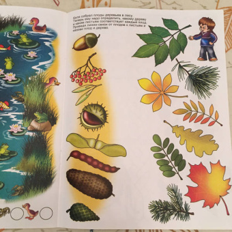 Игралка-развивалка. Для детей 4-7 лет (33989)