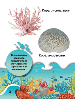 Светлана Пирожник: Обитатели подводного мира. 200 картинок