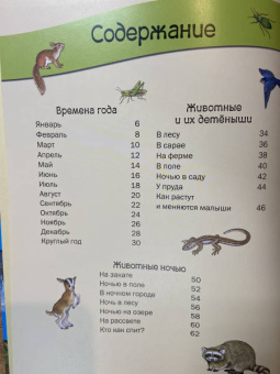 Большая книга времен года