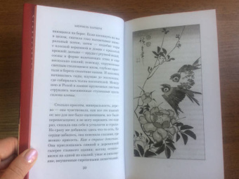 Мюриель Барбери: Только роза