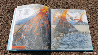 Барр, Уильямс: История жизни. Моя первая книга об эволюции