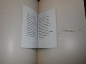Пушкин, Рожников: Евгений Онегин. Подробный иллюстрированный комментарий