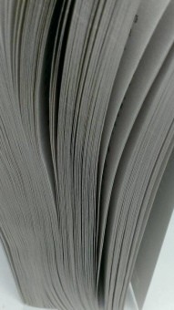 Филис Каст: Богиня по ошибке