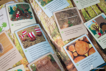 Софи Дову: Мой большой мир. Любопытные факты. Вопросы и ответы. Сделай сам