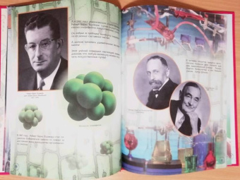 Ольга Соколова: Как одна маленькая клетка изменила целый мир!