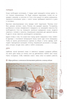 Татьяна Гольнева: Мой любимый котенок. Как выбрать, воспитывать и ухаживать