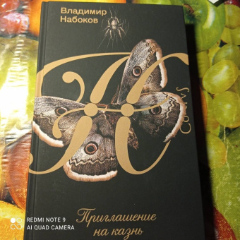 Владимир Набоков: Приглашение на казнь