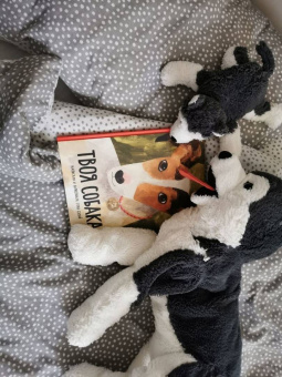 Елена Булай: Твоя собака