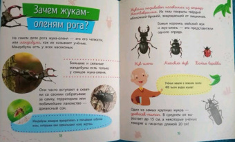 Анна Булгакова: Насекомые