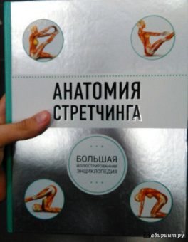 Анатомия стретчинга. Большая иллюстрированная энциклопедия