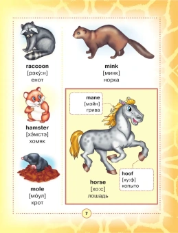 Англо-русский визуальный словарь для детей