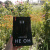 Д. Алекс: Не он