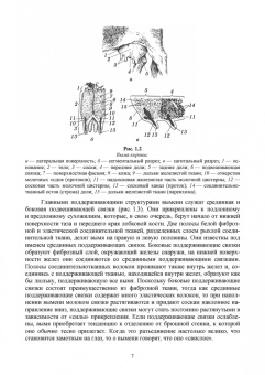 Федотов, Авдеенко, Белозерцева: Ветеринарная маммология. Учебник