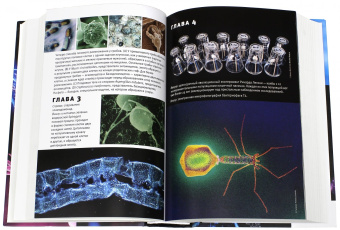 Марков, Наймарк: Эволюция. Классические идеи в свете новых открытий