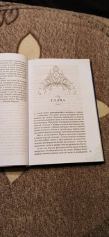 Гаврилова, Жильцова: Академия стихий. Книга 2. Душа огня