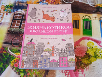 Кристофер Шоу: Жизнь котиков в большом городе