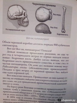 Андрей Буровский: Разные человечества. "Эволюция. Разум. Антропология"