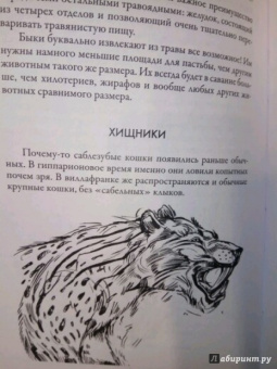 Андрей Буровский: Разные человечества. "Эволюция. Разум. Антропология"