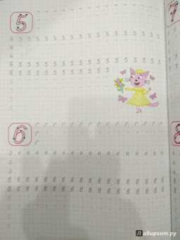 Три кота. Каллиграфические прописи. Буквы и цифры
