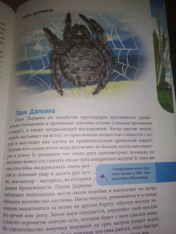 Мария Куруськина: Энциклопедия. Пауки