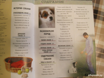 Брюс Фогл: Собаки. Полная энциклопедия