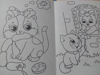 Раскраска А5. Котики