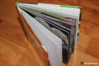 Блэйман, Истланд: Детеныши животных