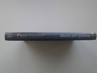 Саша Соколов: Школа для дураков
