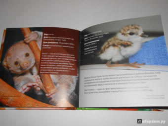 Блэйман, Истланд: Детеныши животных