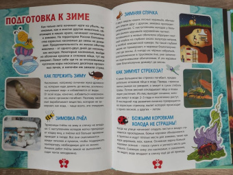 В мире насекомых. Детская энциклопедия